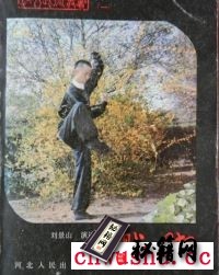 戳脚拳术是我国北腿武术的主要代表《戳脚》刘景山.pdf