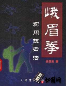 [武功秘籍]峨眉拳实用技击法(吴信良).pdf