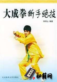 [武功秘籍]大成拳断手绝技.李照山.pdf