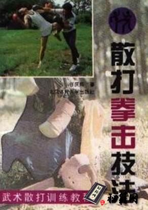 [武功秘籍]散打拳击技法.佟庆辉.pdf