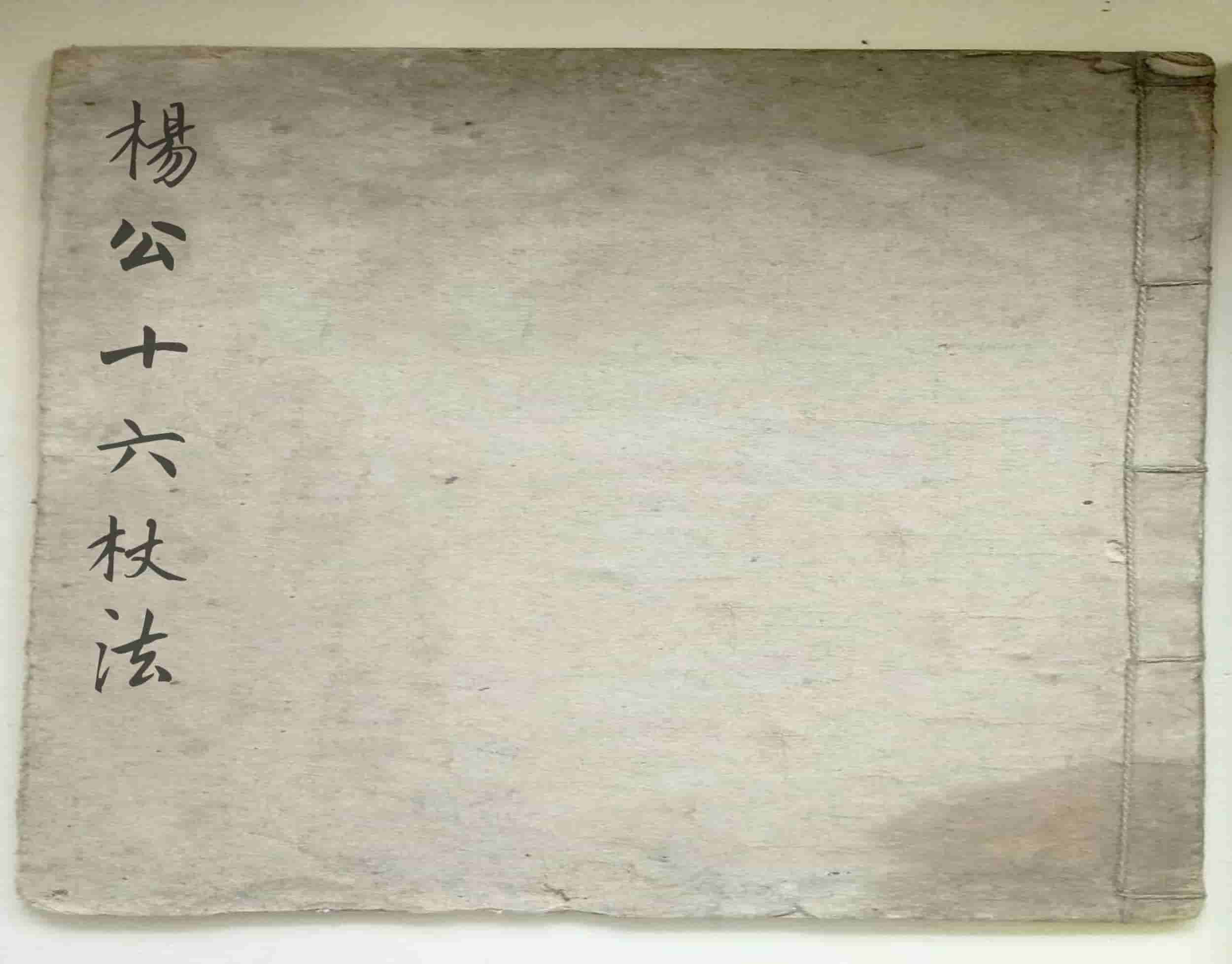 《杨公倒杖十六法》列图别载