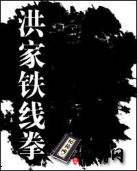 [武功秘籍]洪家铁线拳3.pdf