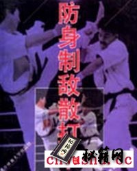 防身制敌散打术.pdf