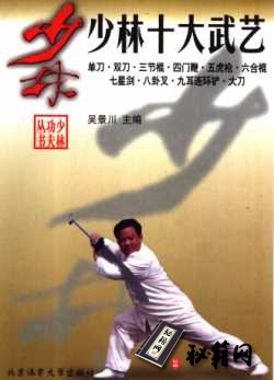 [武功秘籍]少林十大武艺（吴景川）.pdf